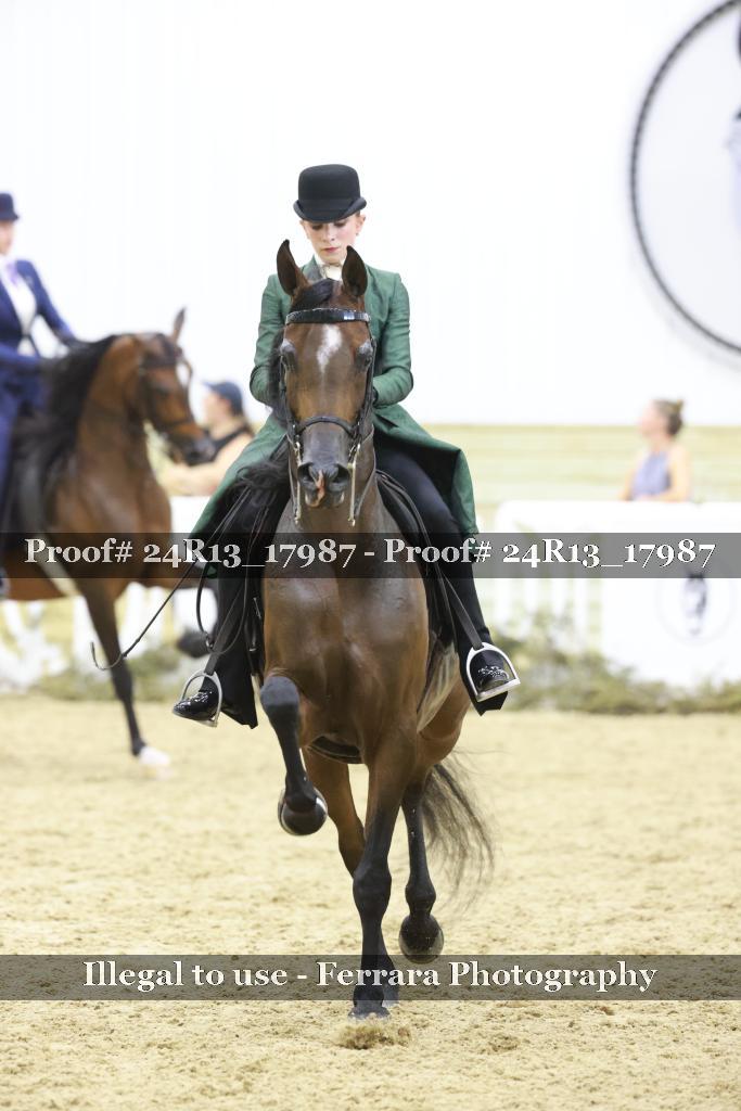 Proof 24R13_17987