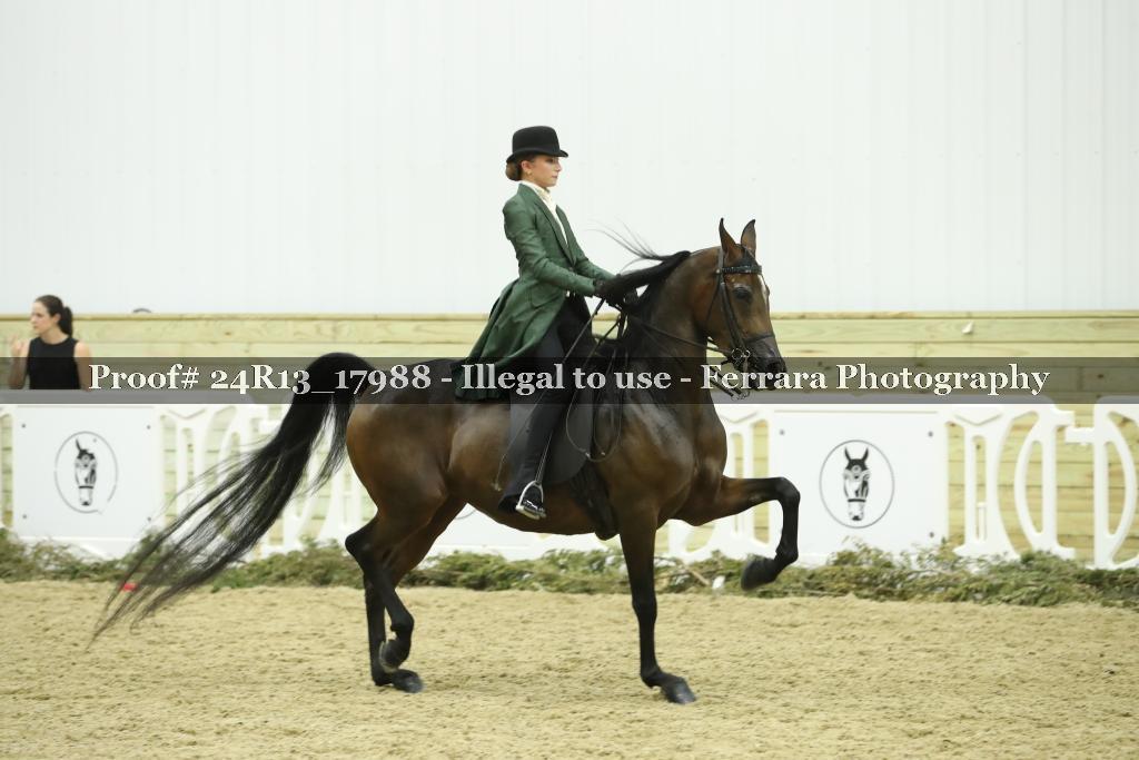 Proof 24R13_17988