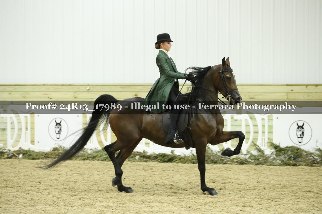 Proof 24R13_17989