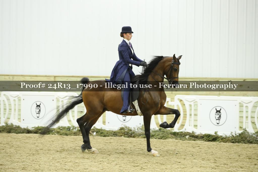 Proof 24R13_17990