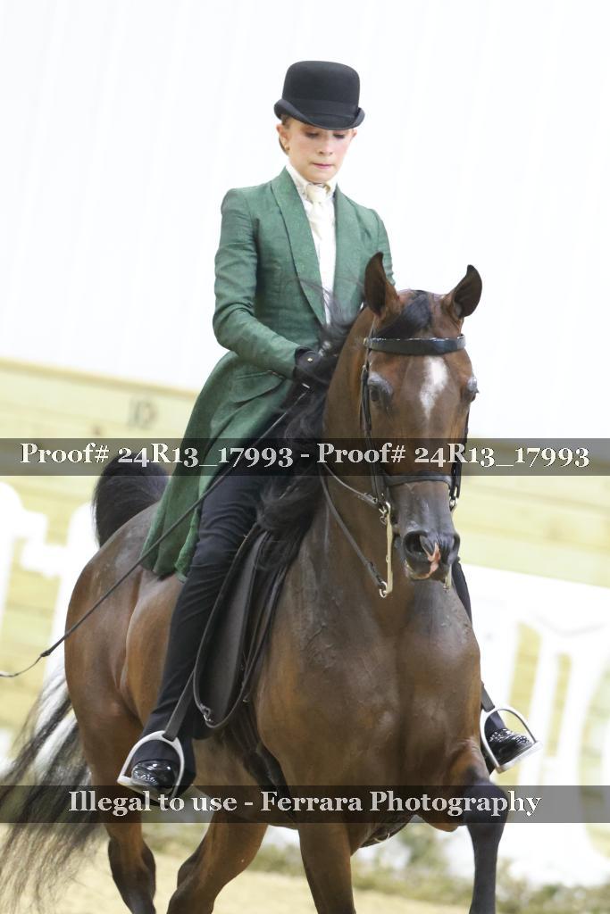 Proof 24R13_17993