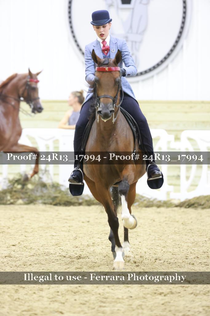 Proof 24R13_17994