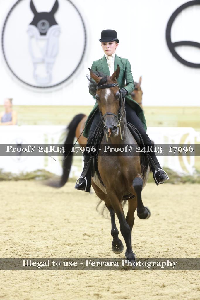 Proof 24R13_17996