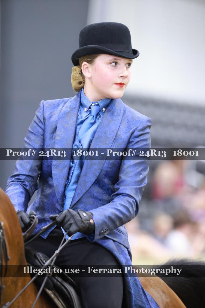 Proof 24R13_18001