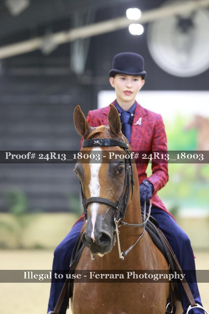 Proof 24R13_18003