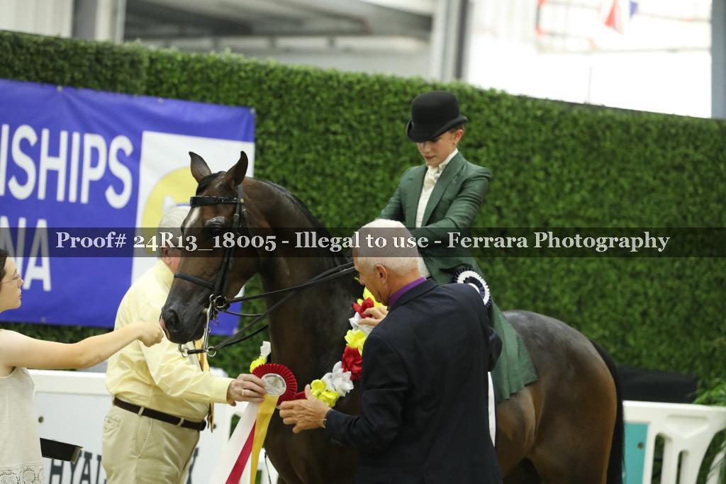 Proof 24R13_18005