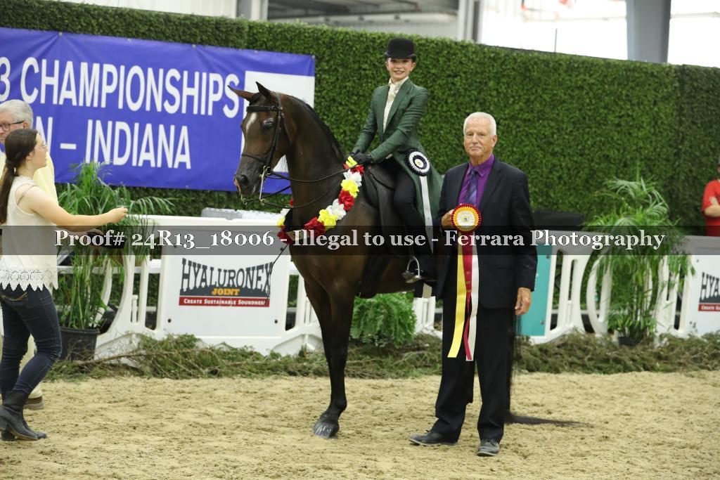 Proof 24R13_18006