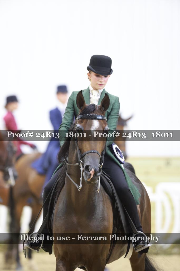 Proof 24R13_18011