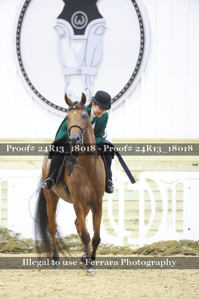 Proof 24R13_18018