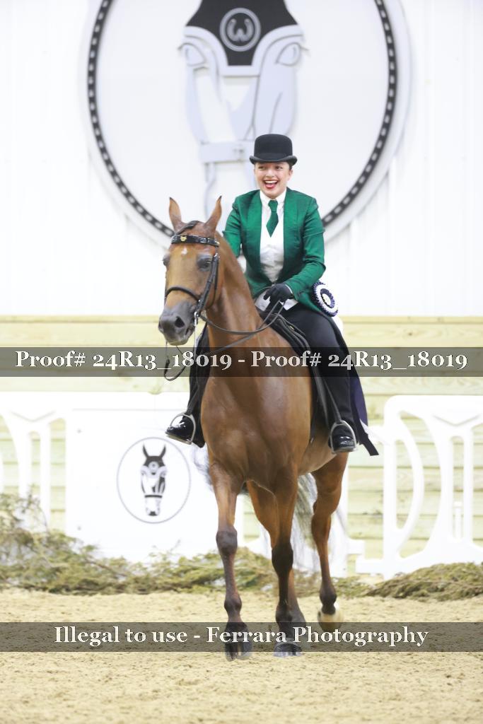 Proof 24R13_18019