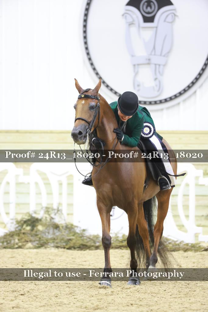 Proof 24R13_18020