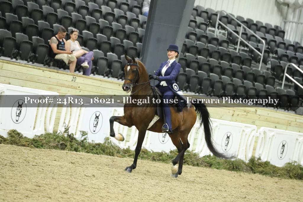 Proof 24R13_18021