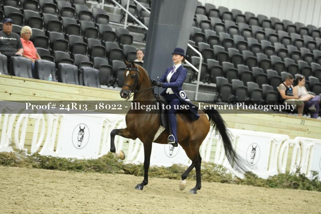 Proof 24R13_18022