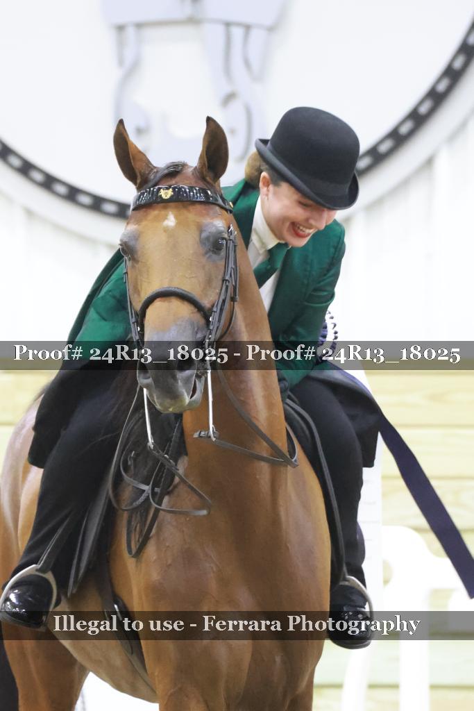 Proof 24R13_18025