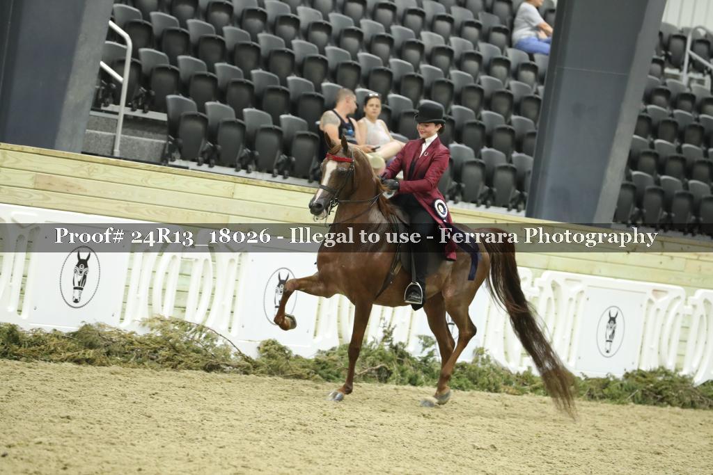Proof 24R13_18026
