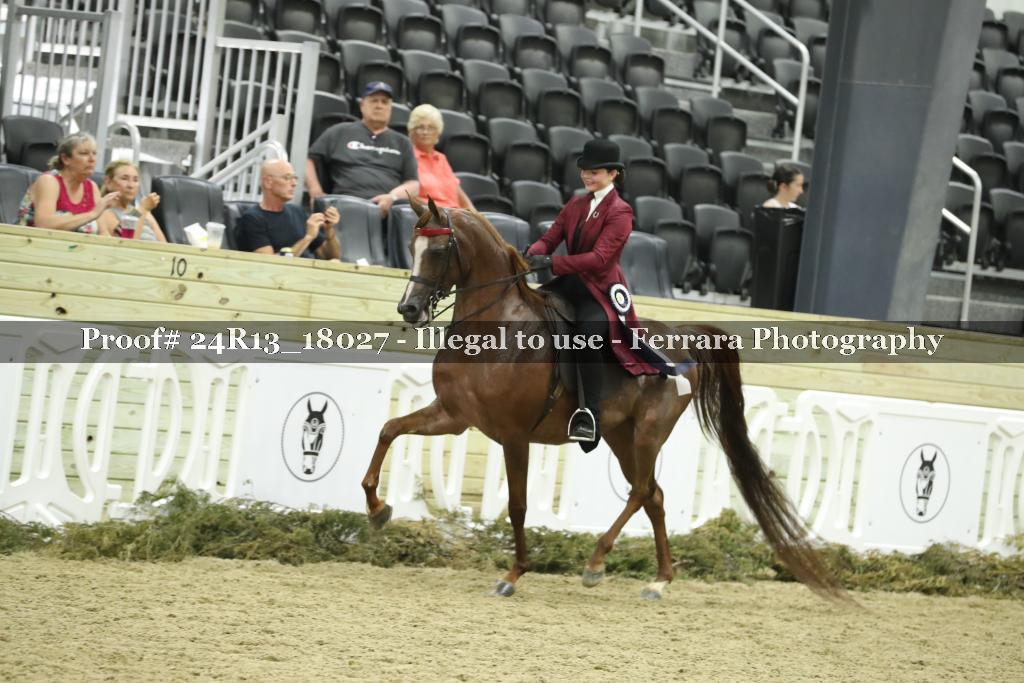 Proof 24R13_18027