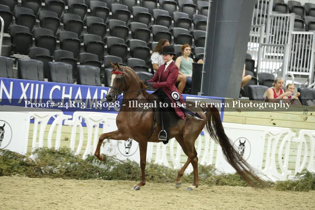 Proof 24R13_18028