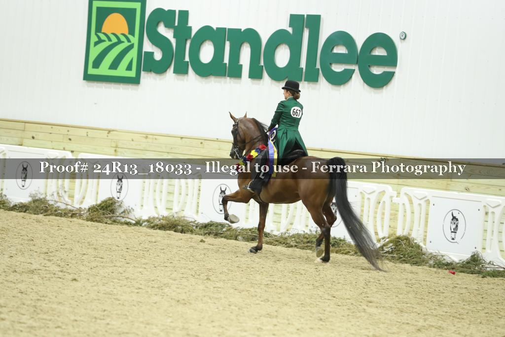 Proof 24R13_18033
