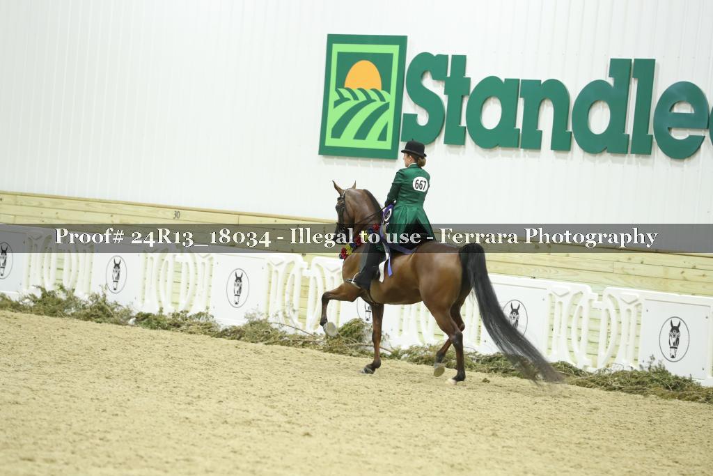 Proof 24R13_18034