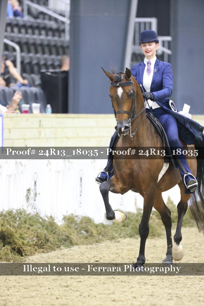 Proof 24R13_18035