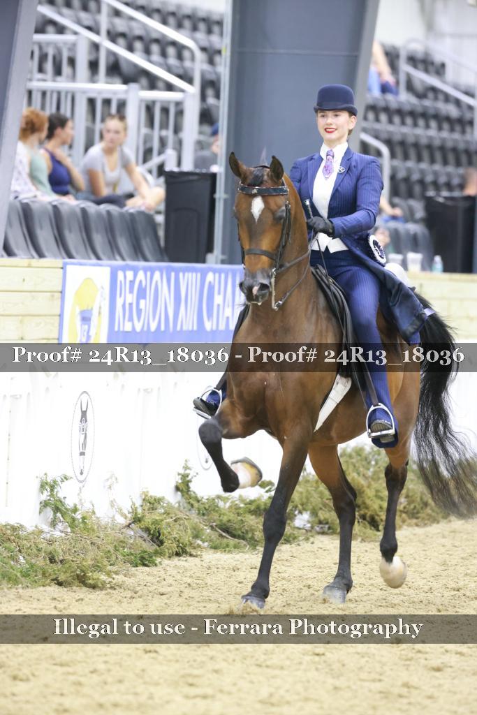 Proof 24R13_18036