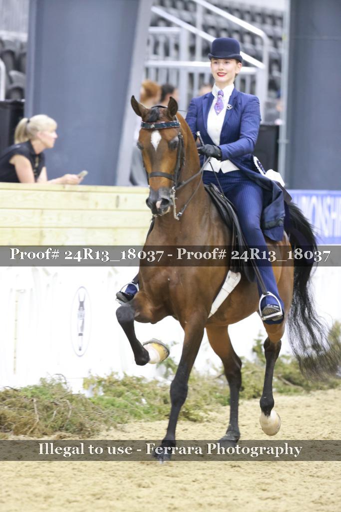Proof 24R13_18037