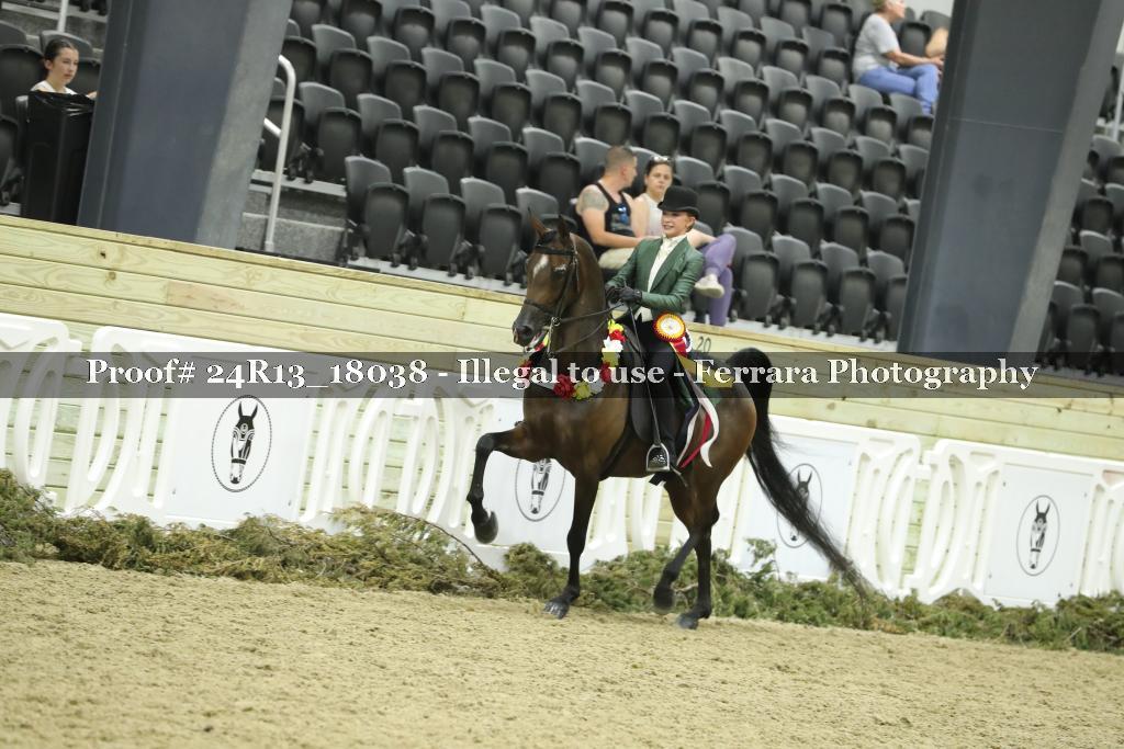 Proof 24R13_18038