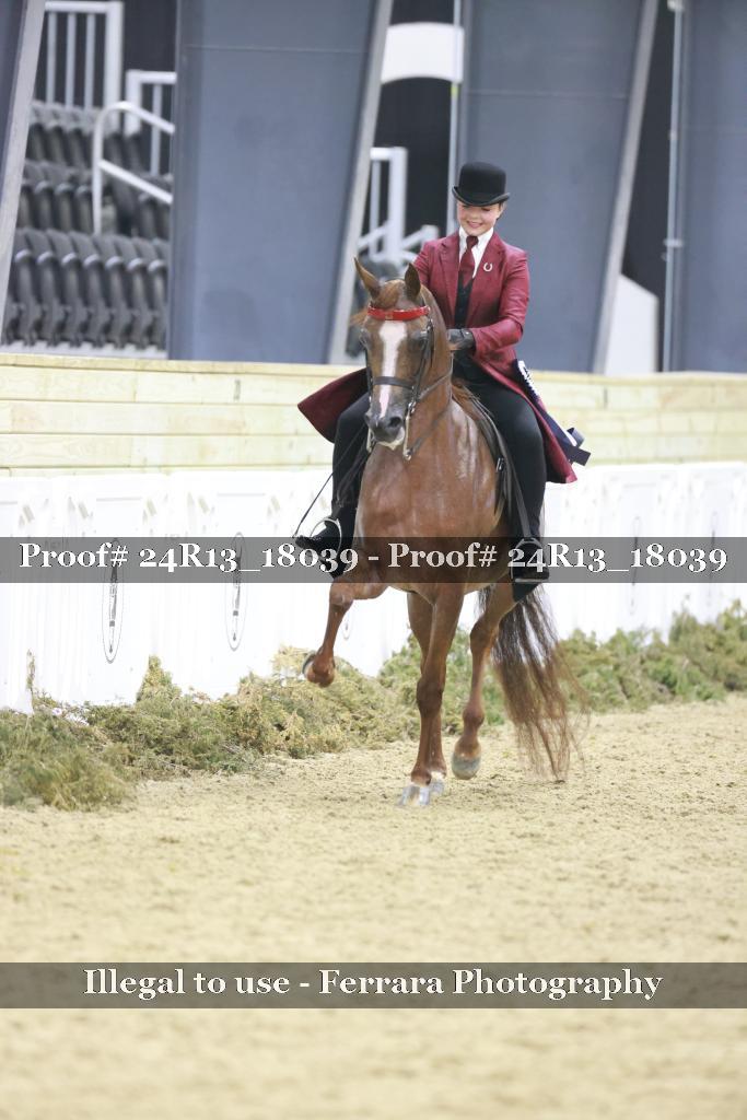 Proof 24R13_18039