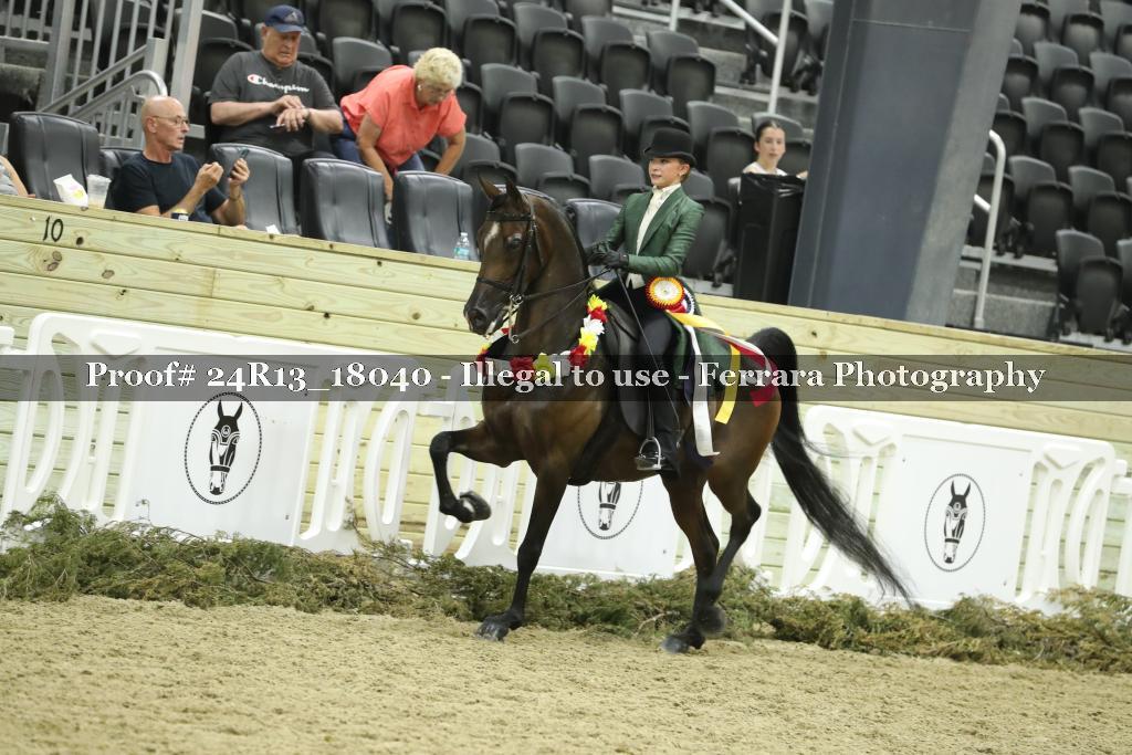 Proof 24R13_18040