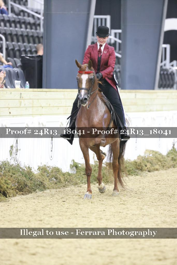 Proof 24R13_18041