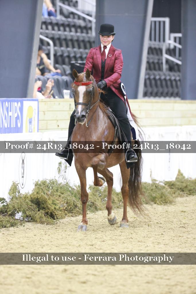 Proof 24R13_18042