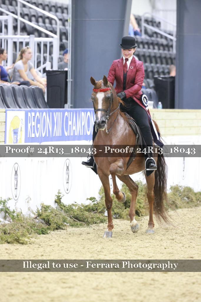 Proof 24R13_18043