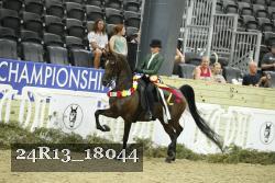 24R13_18044 proof