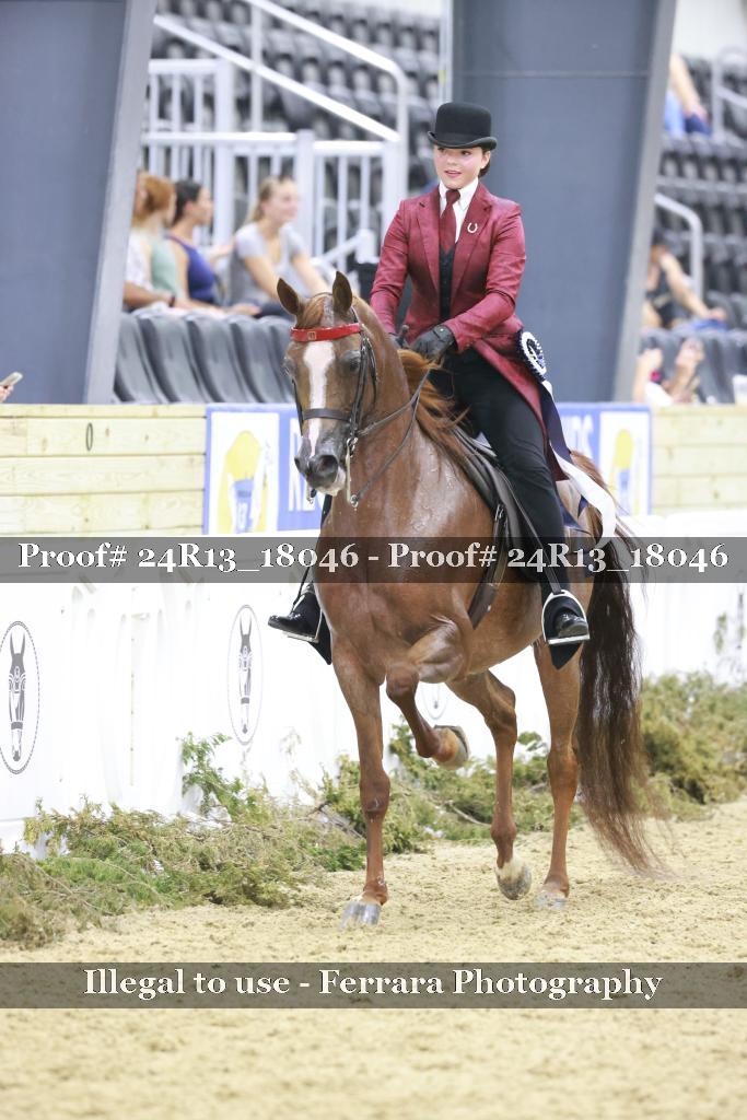 Proof 24R13_18046