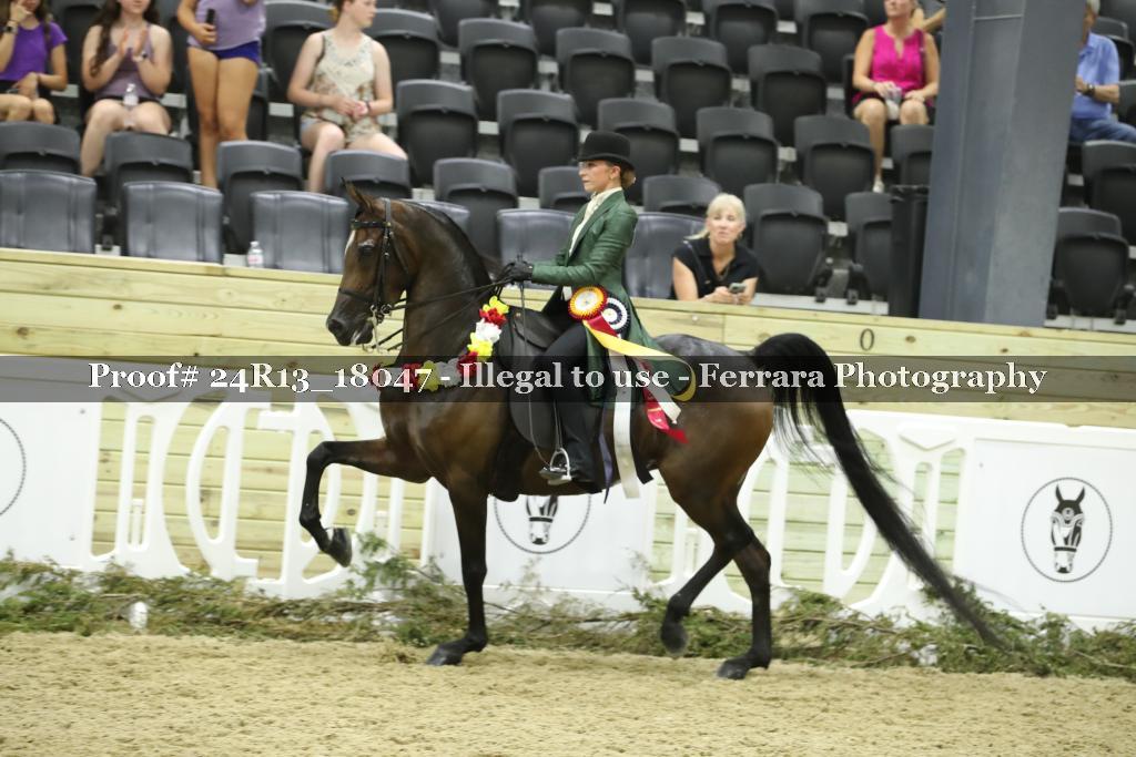 Proof 24R13_18047