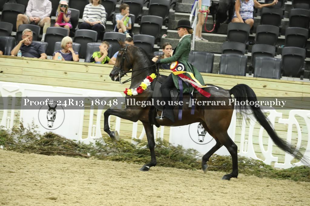 Proof 24R13_18048