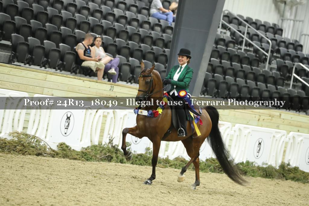 Proof 24R13_18049
