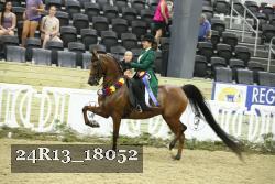 24R13_18052 proof
