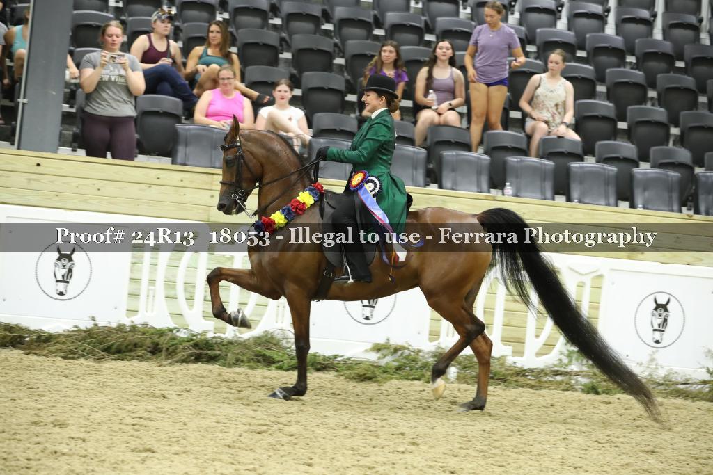 Proof 24R13_18053