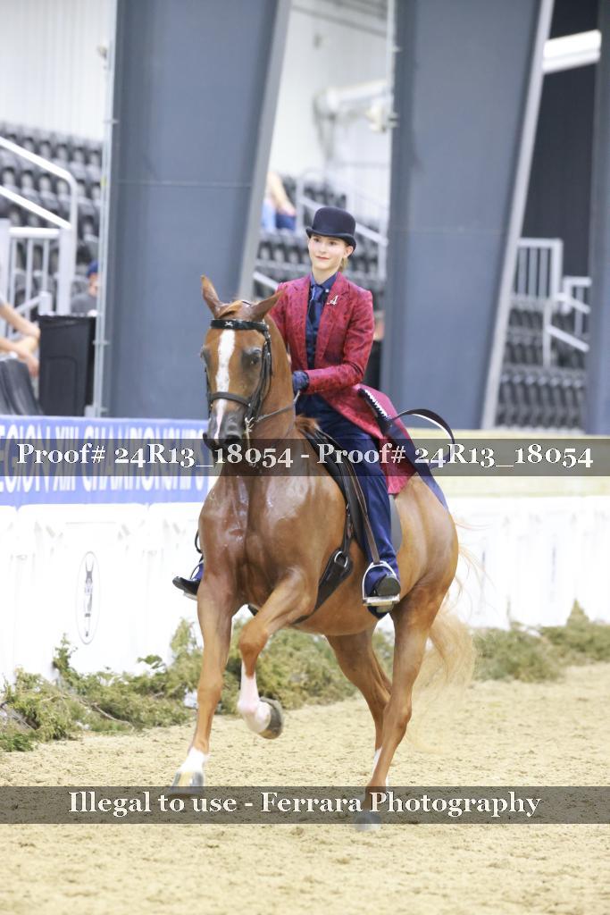 Proof 24R13_18054