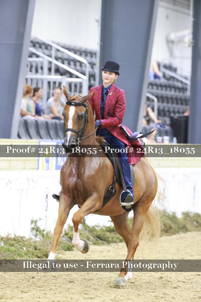 Proof 24R13_18055