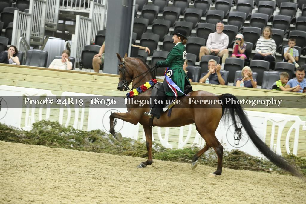 Proof 24R13_18056