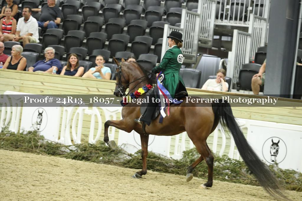Proof 24R13_18057