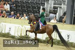 24R13_18057 proof
