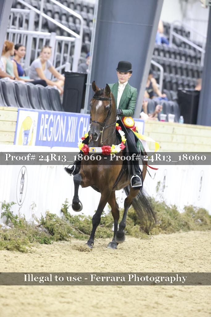 Proof 24R13_18060