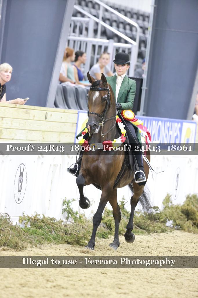 Proof 24R13_18061