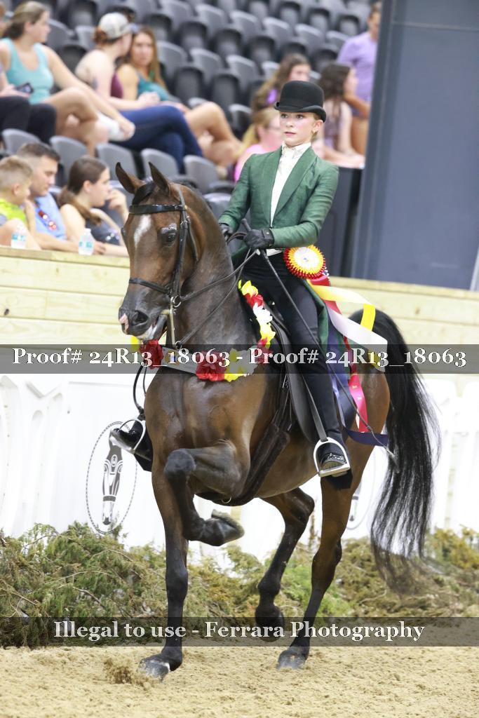 Proof 24R13_18063
