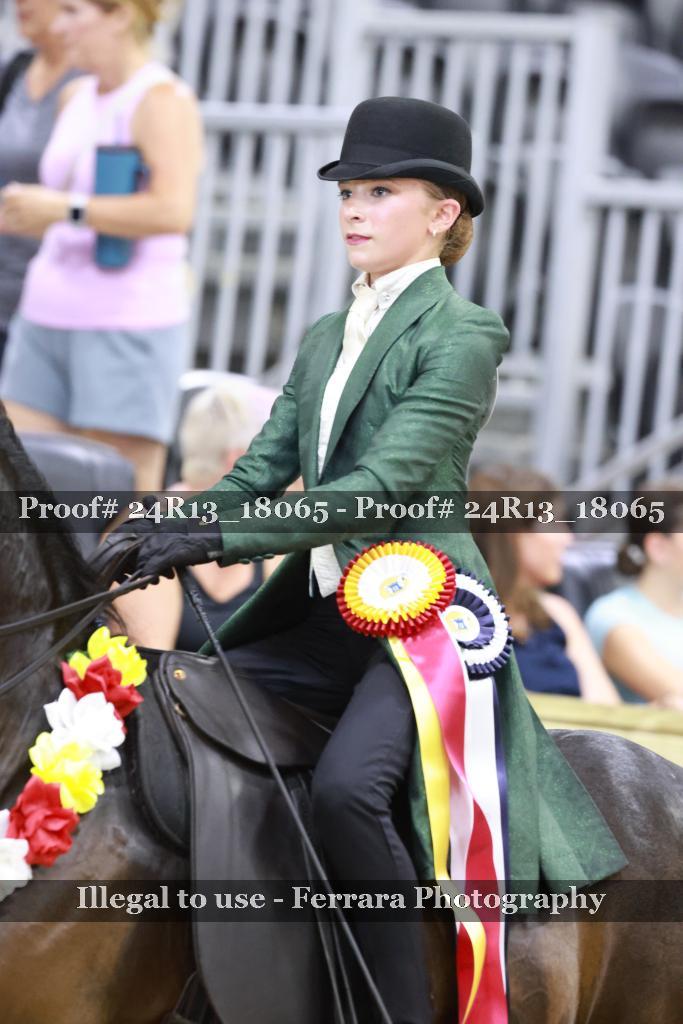 Proof 24R13_18065
