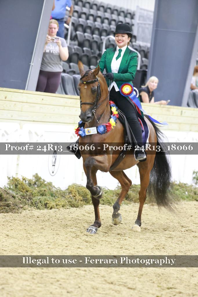 Proof 24R13_18066
