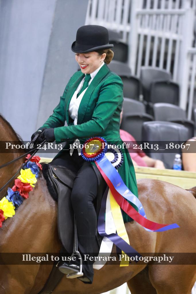 Proof 24R13_18067